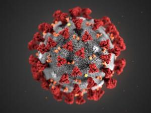 Coronavirus en RDC : 1 537 cas confirmés, 272 personnes guéries