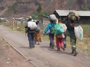 Ituri : nouveaux déplacements des habitants de Lwemba vers Biakato par peur des attaques des Maï- Maï