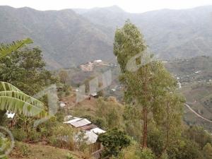 «Attaque rebelle» à Bujumbura – « Criminels armés » et Inyankamugayo, bonnet blanc et blanc bonnet ?