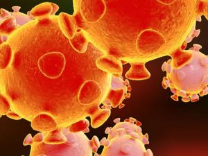 Novel Coronavirus: WHO says working around the clock to prevent spread