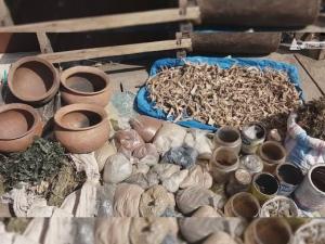 Médecine traditionnelle : dangereuse ou efficace ?